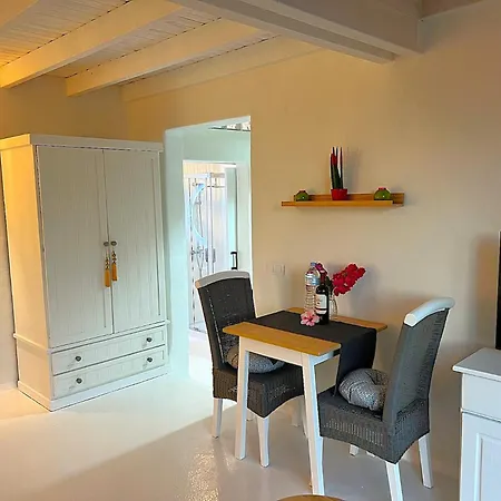 Loft Cactus