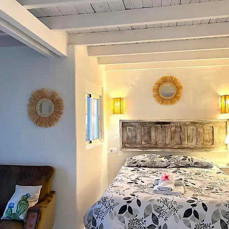 Estudio Cactus Apartment *