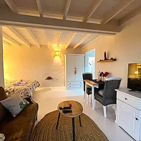 Estudio Cactus 티아즈